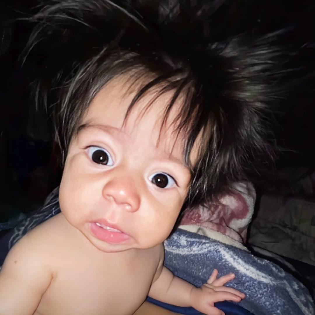 别薅我的羊毛(只想毕业版）