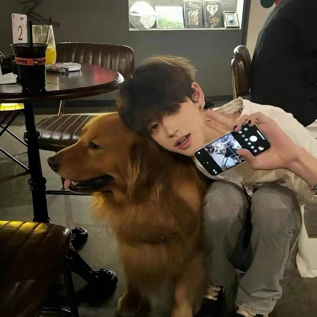 向阳的葵