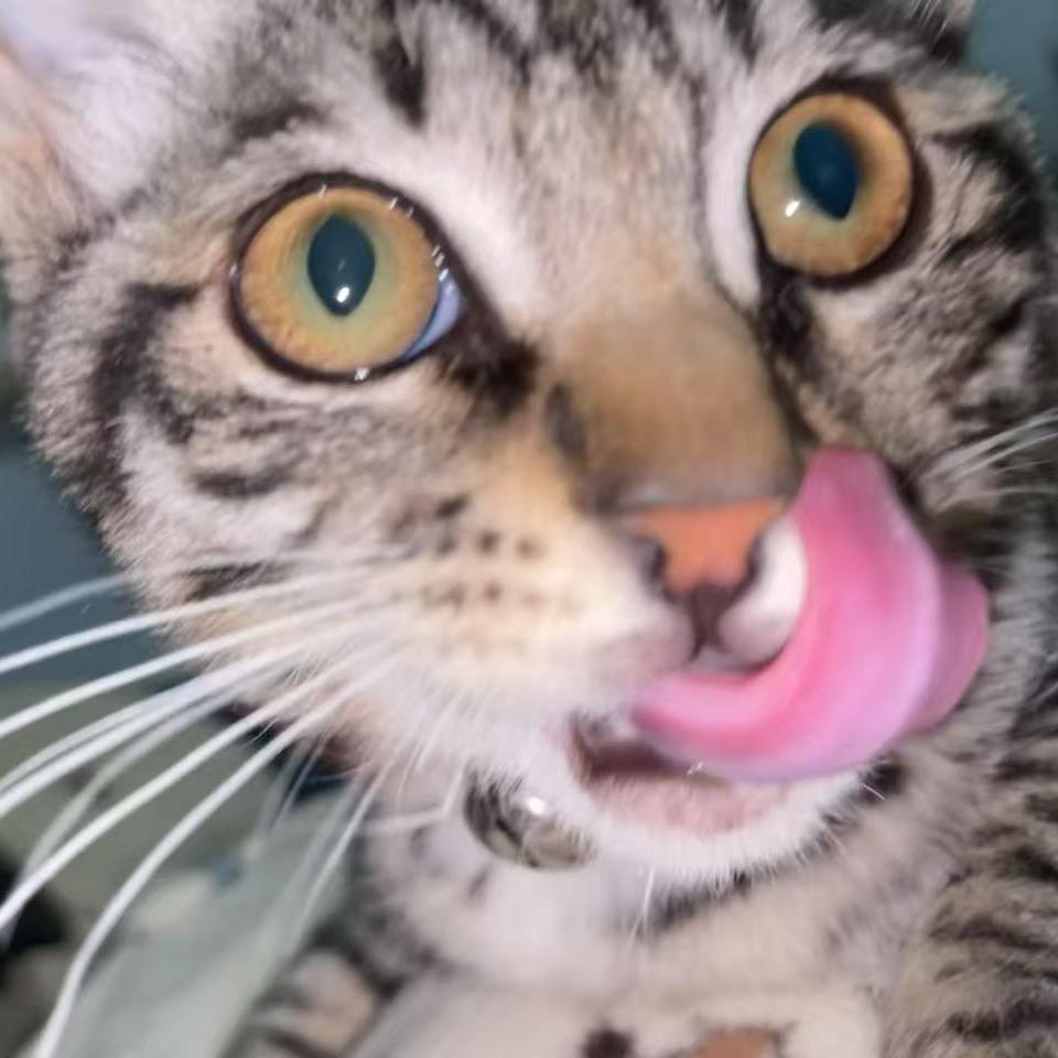 牛波一