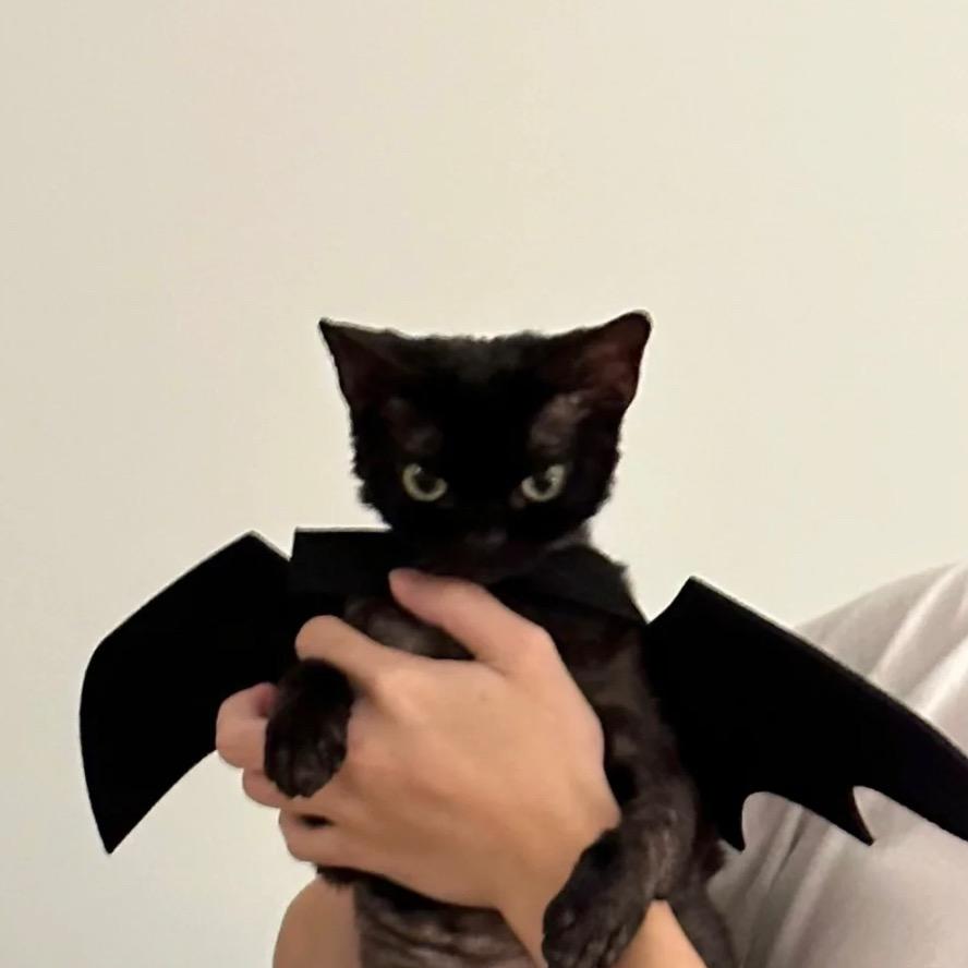 能能能能能能能能