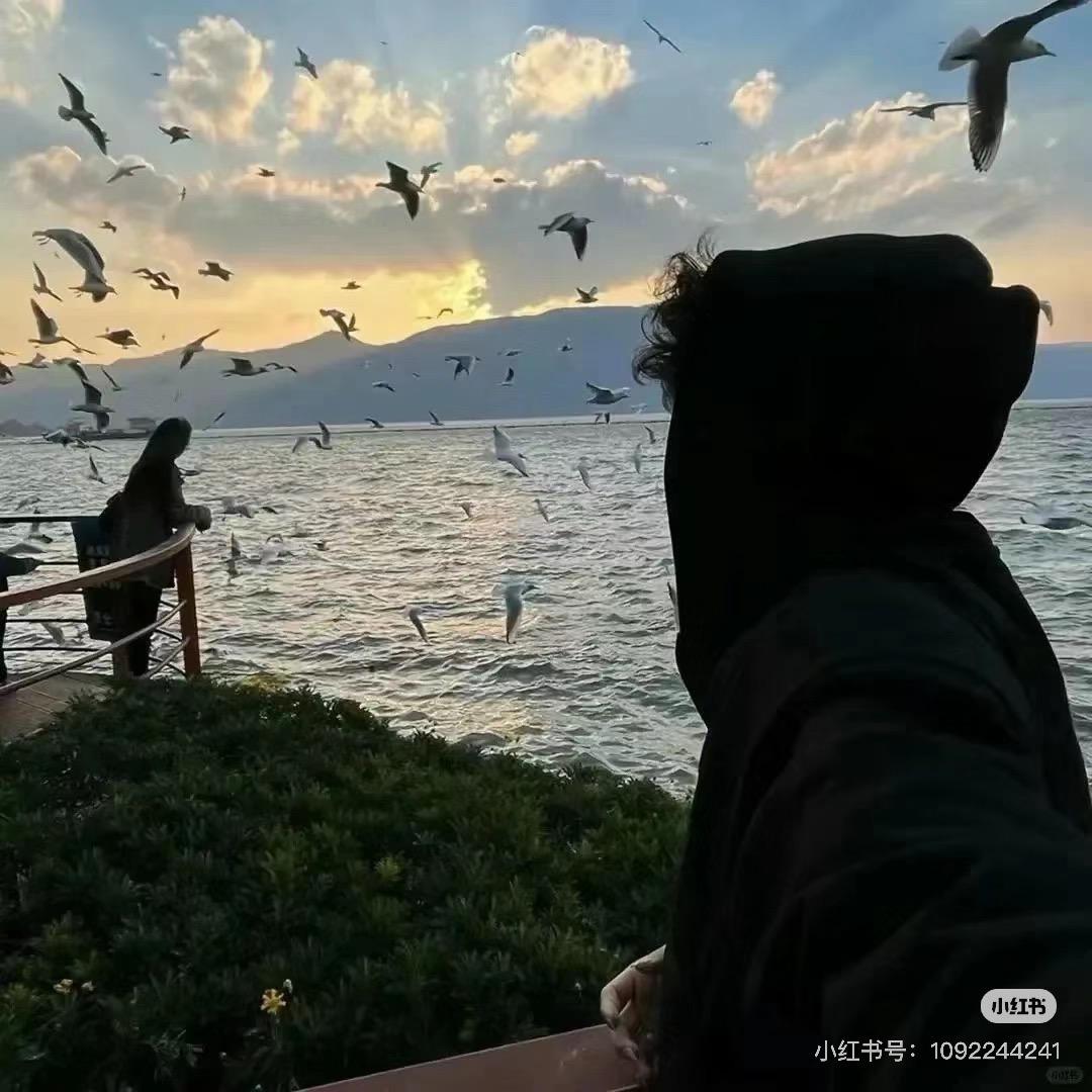 华柏宇