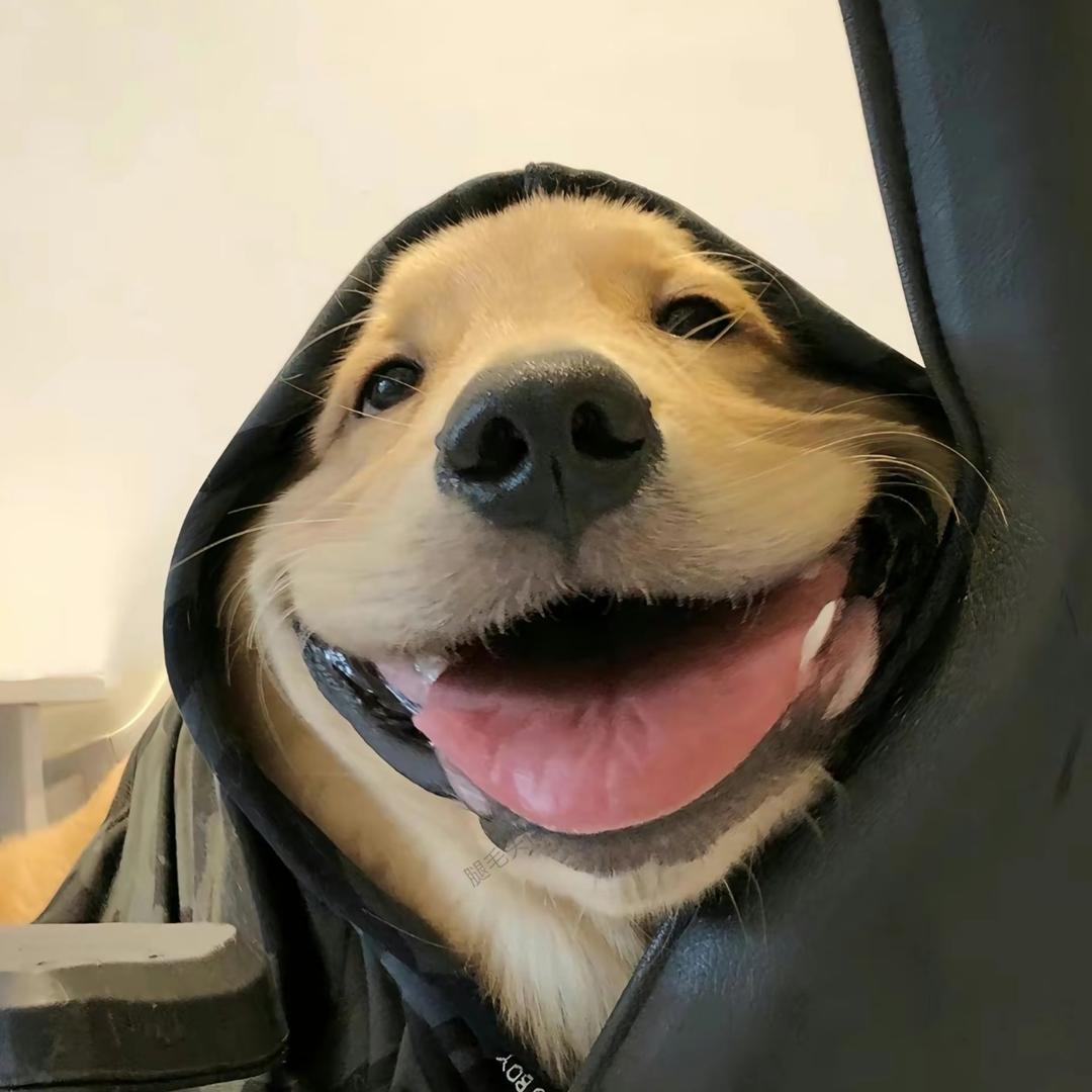👻～～