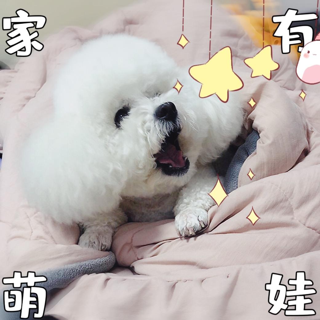 我家有沐总