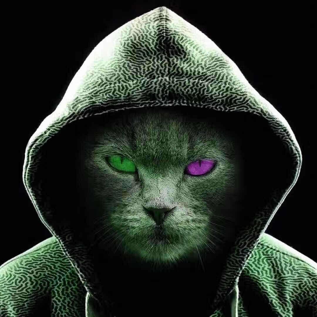 我姓李，乐意李