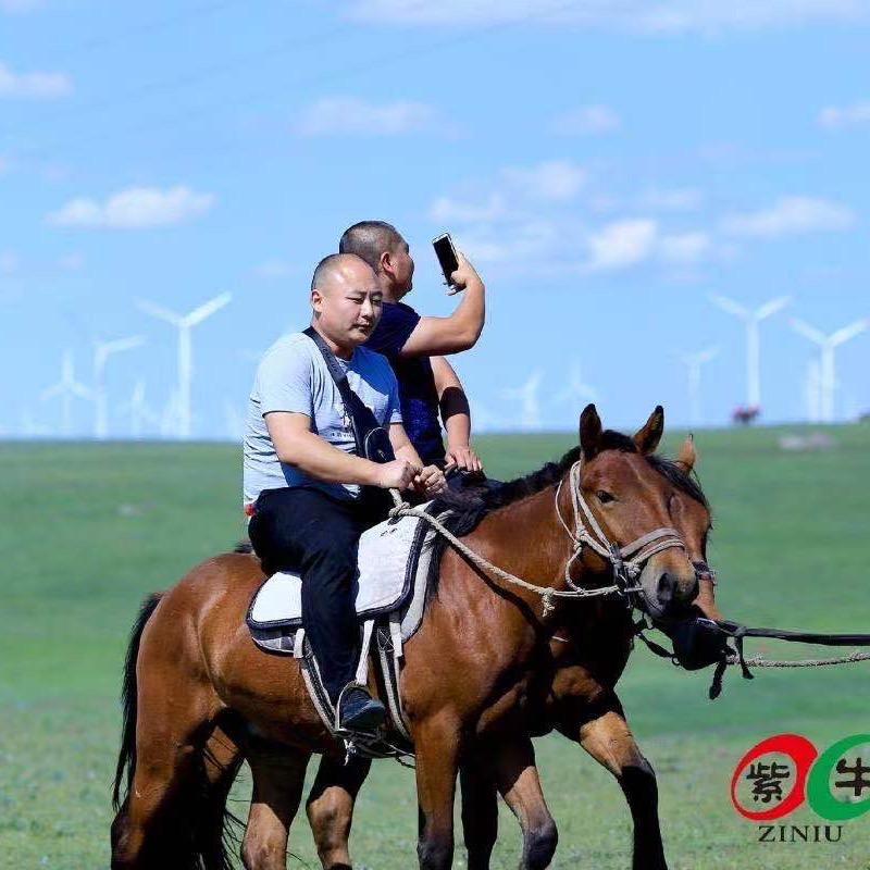 枣庄任赛农资有限公司