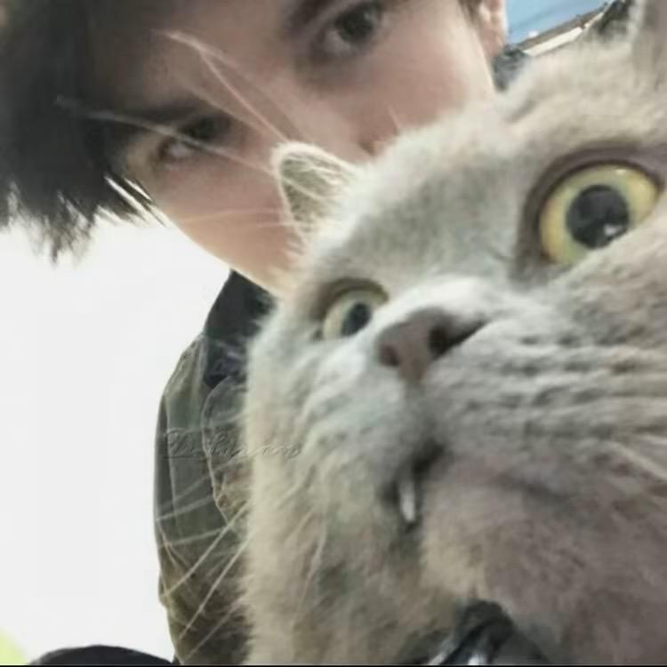 南徹（三角洲行动）