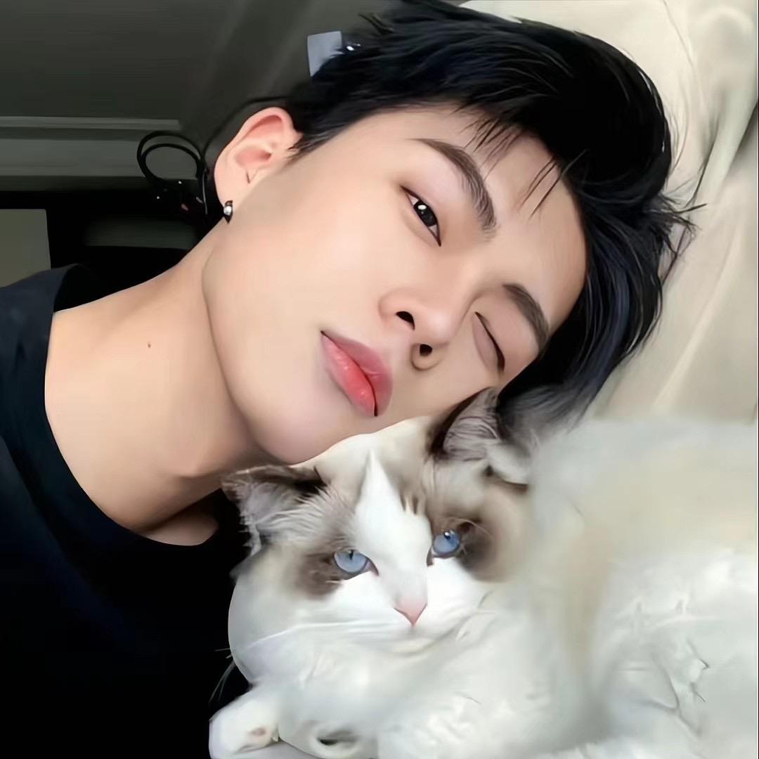 眠意寄风