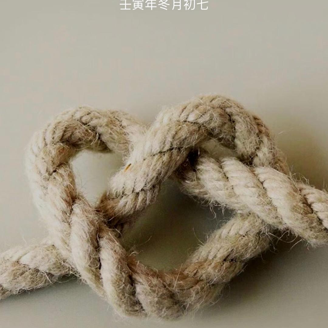 今晚³打老虎头像