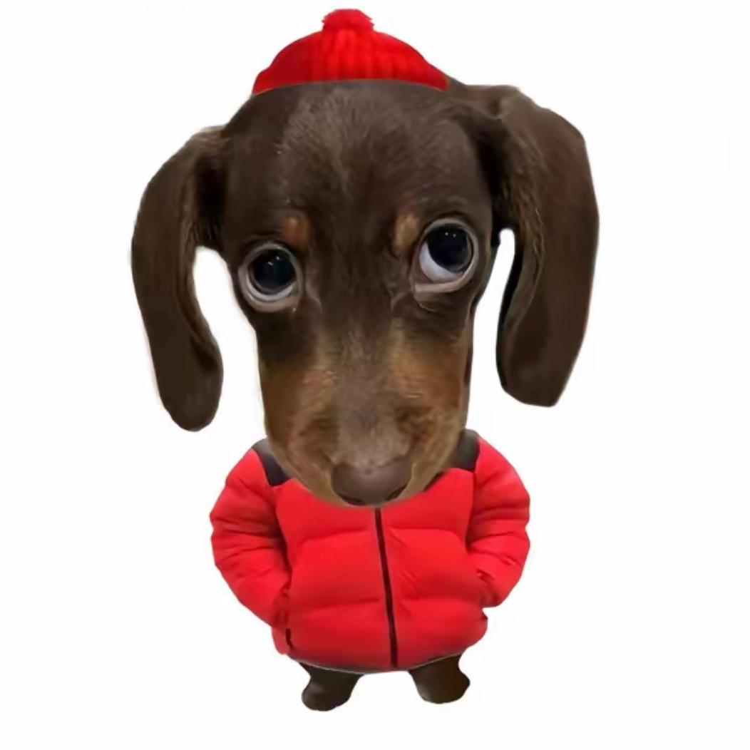 不要给我哇哇叫