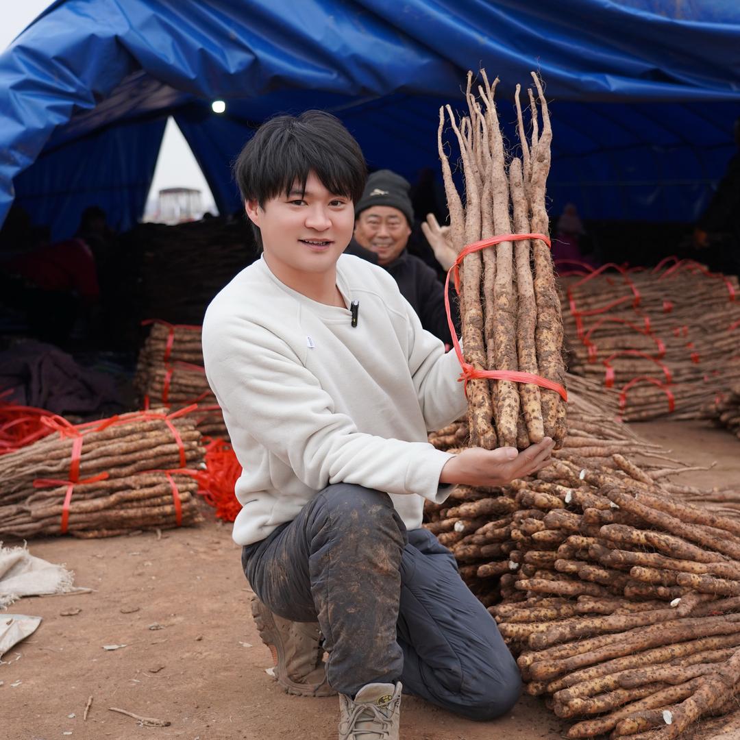 魏妈妈正宗铁棍山药