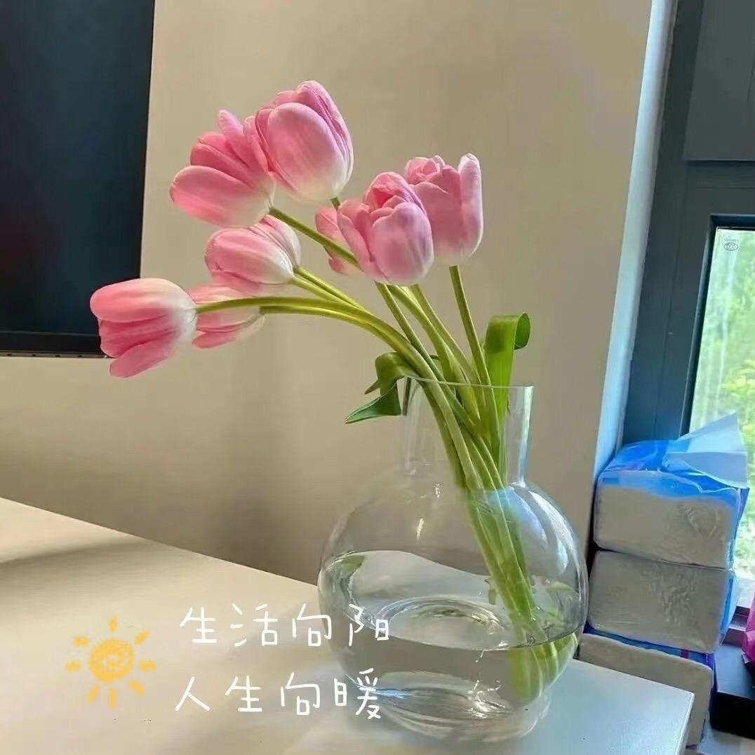 星罗好物