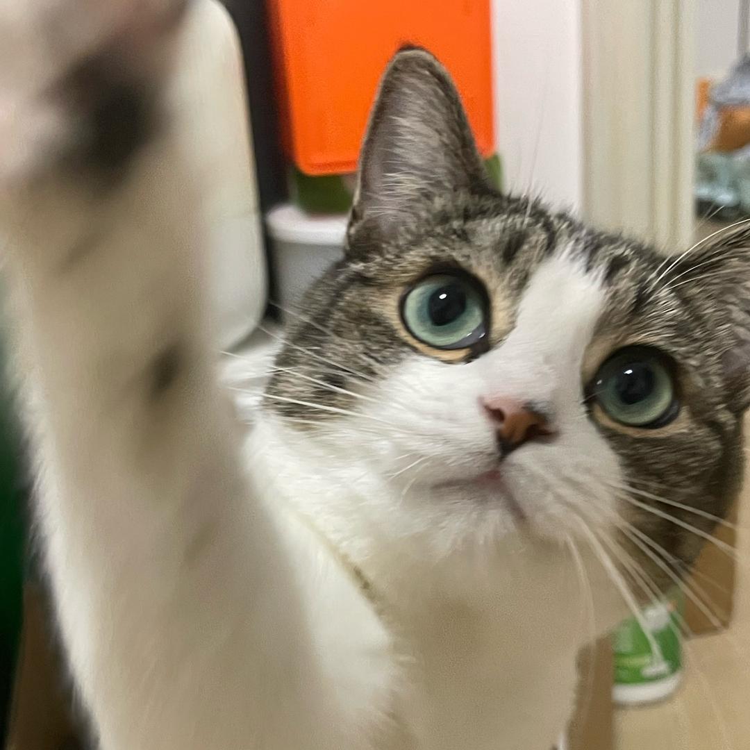 小白小满小端午