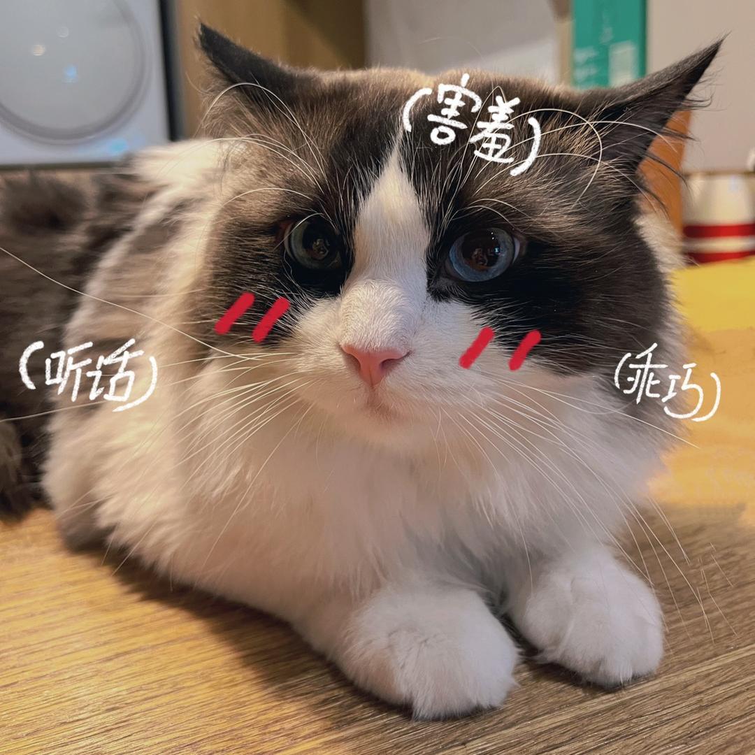 无忧丶