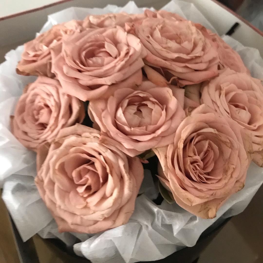 若水生花月