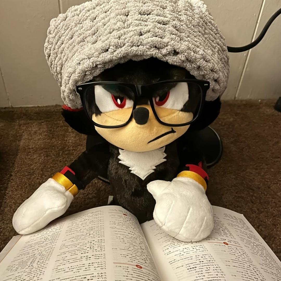 小馋猫的