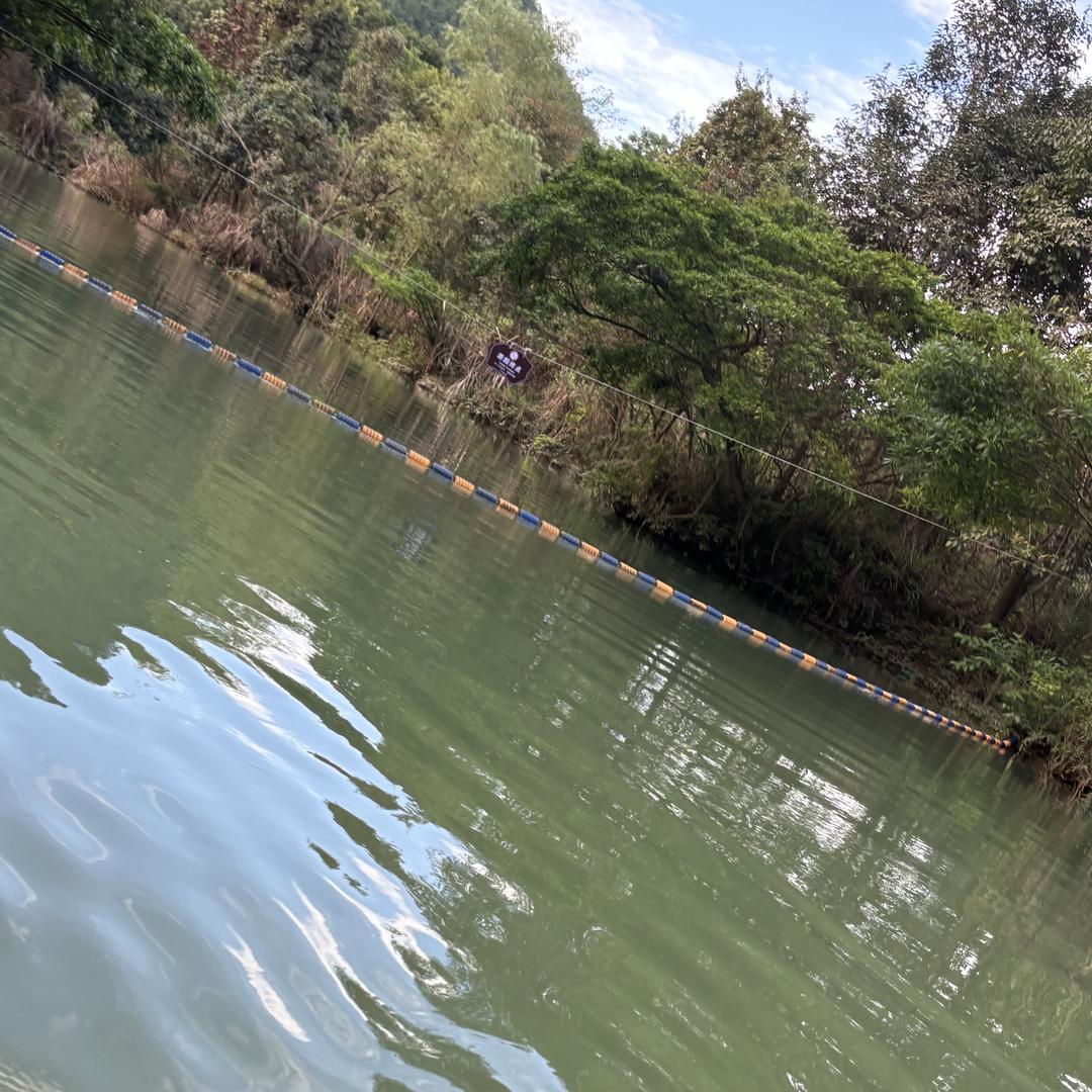 永光咨询
