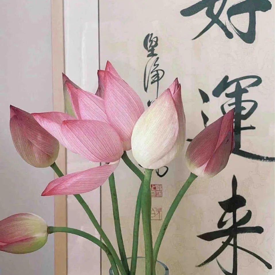 一路向北