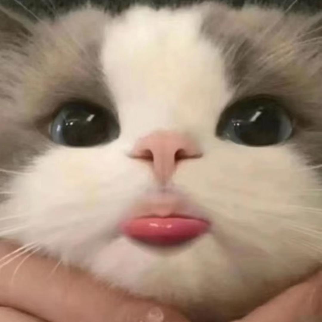 鱼鱼