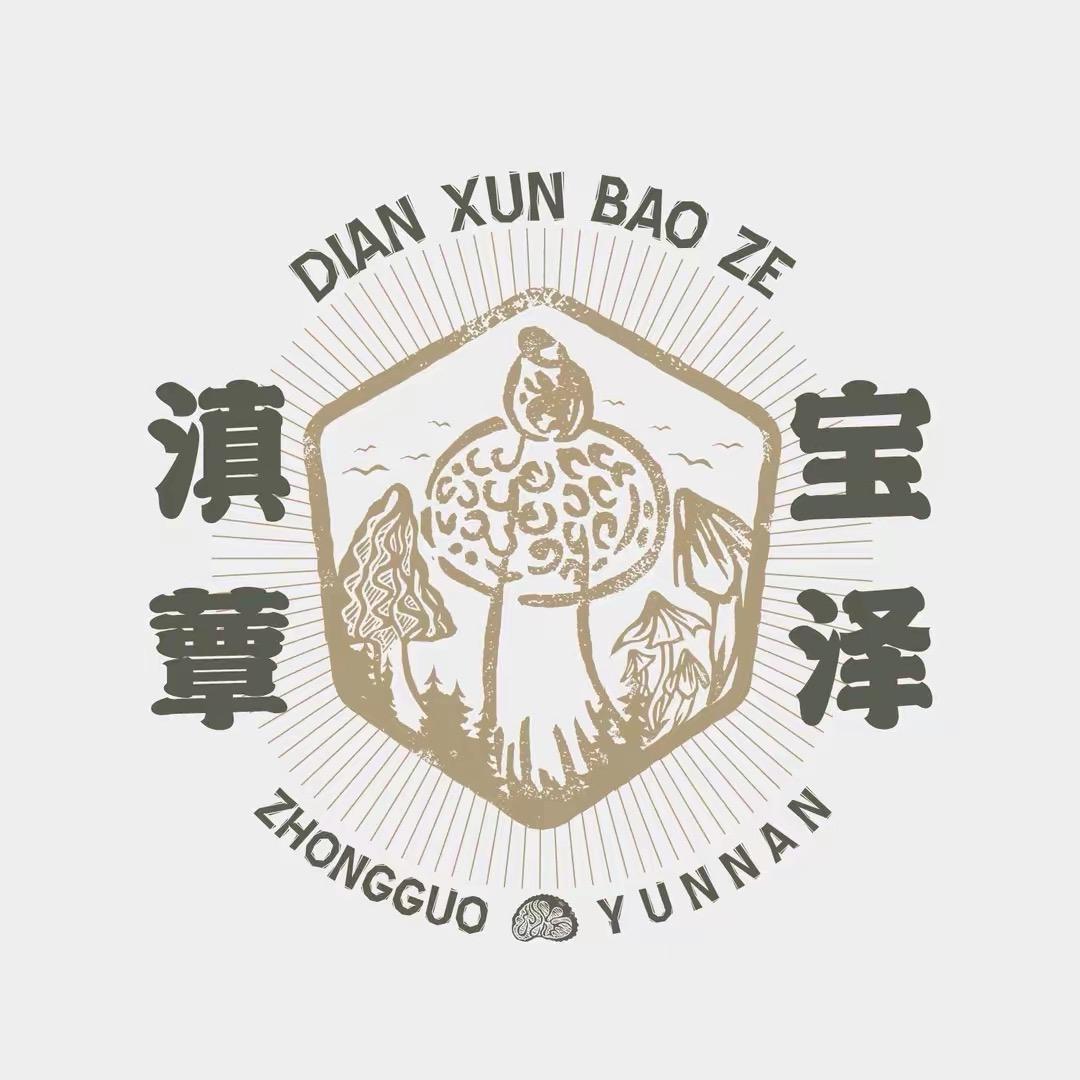 滇蕈宝泽松茸哥