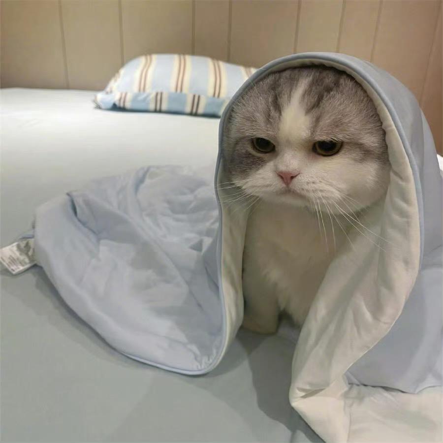 成小韵