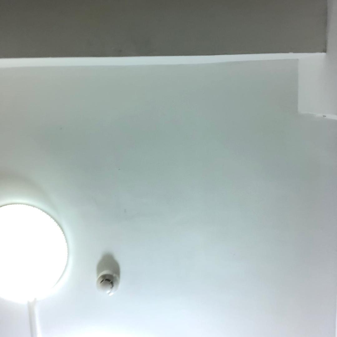 易见