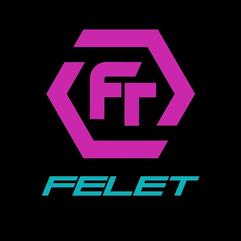 FT FELET辉厉体育旗舰店