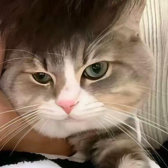 成都的真男人