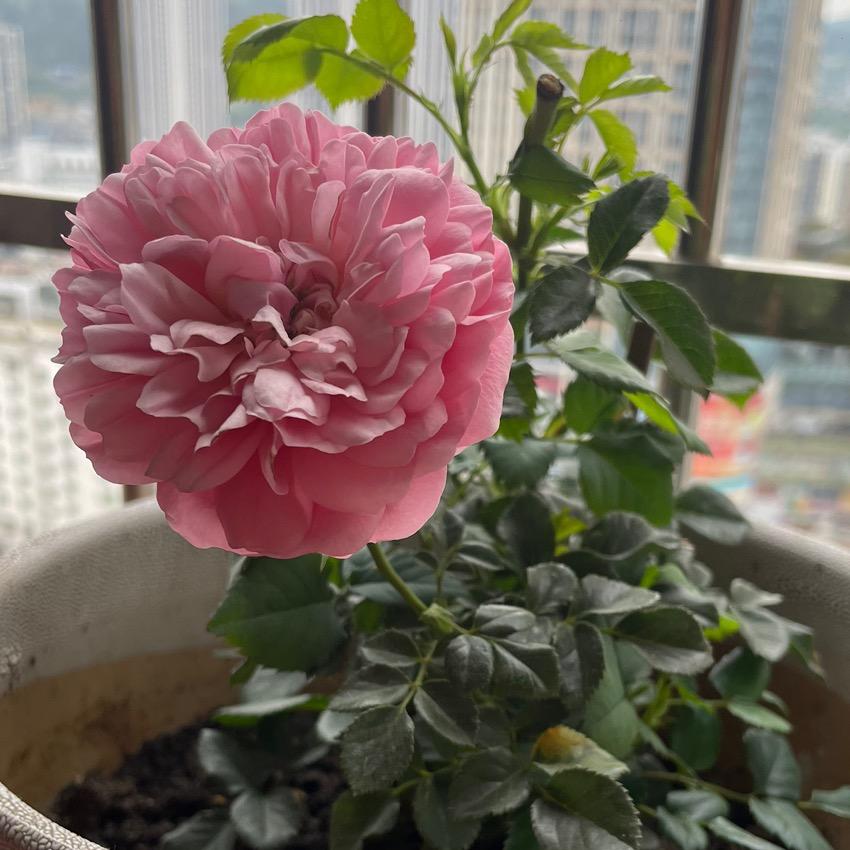 💕小声点哈