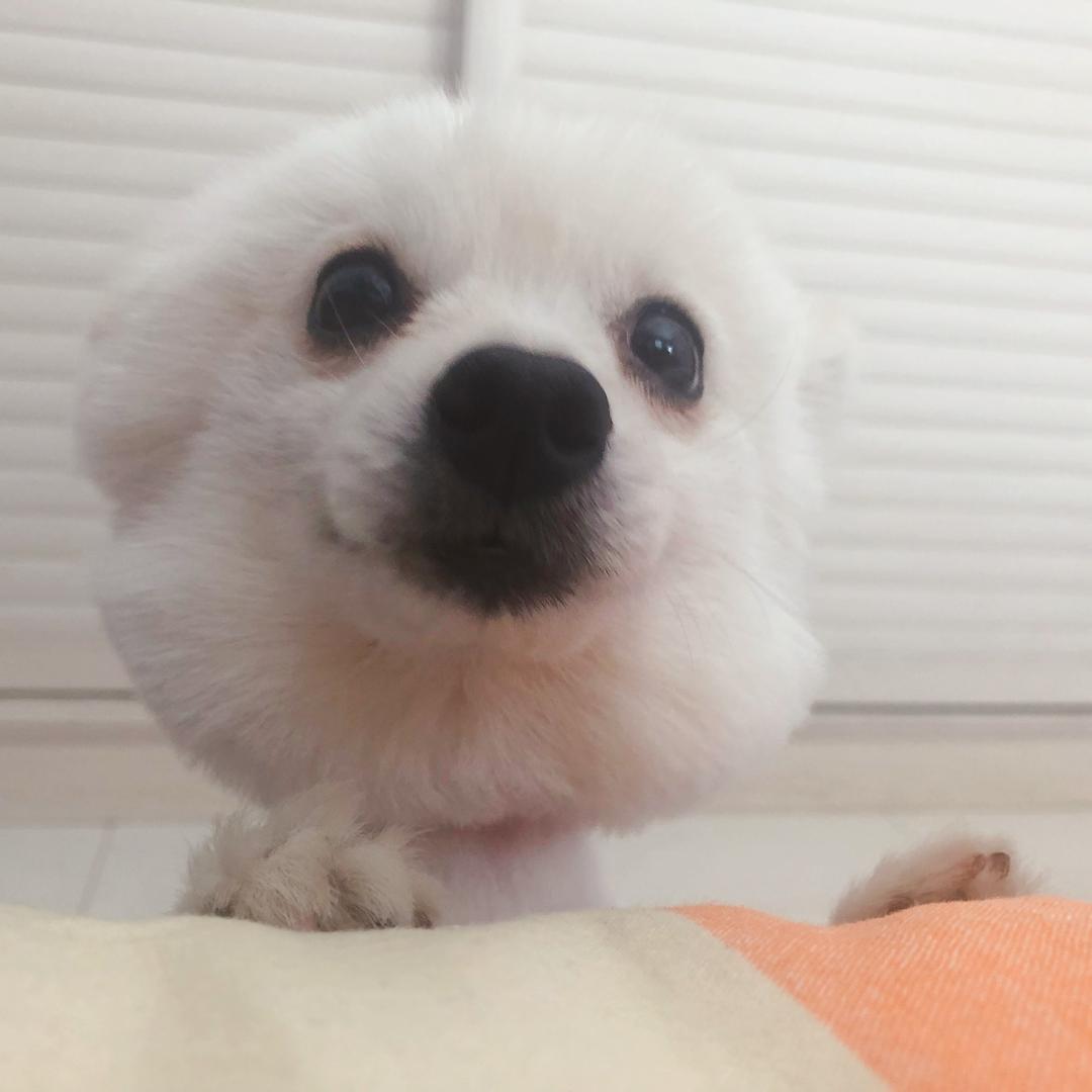 边锋掼蛋大师赛