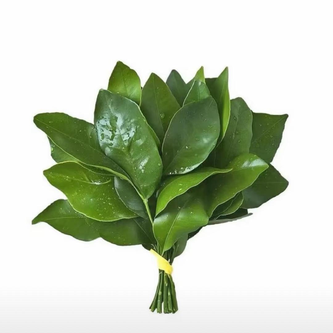 。说什么四大皆空