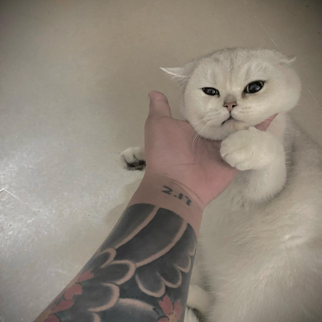 ㅤㅤㅤ             ㅤ