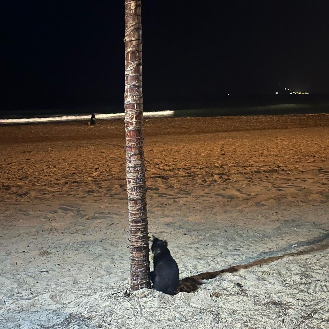 见海🏄🏻‍♂️