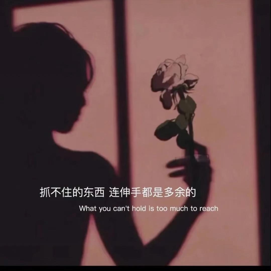 蛋挞芭乐