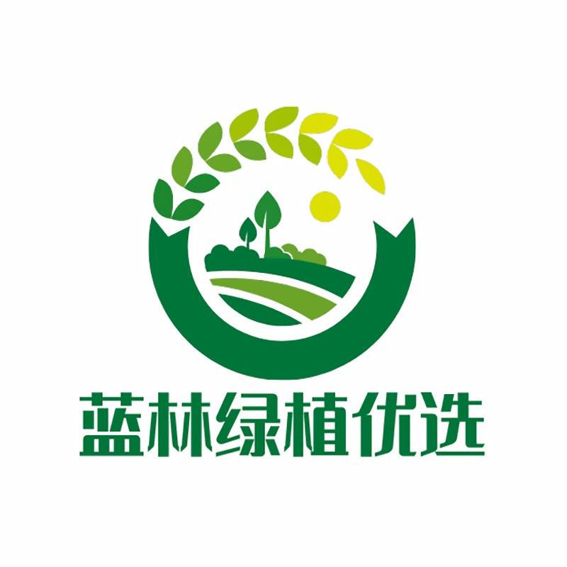 蓝林绿植优选