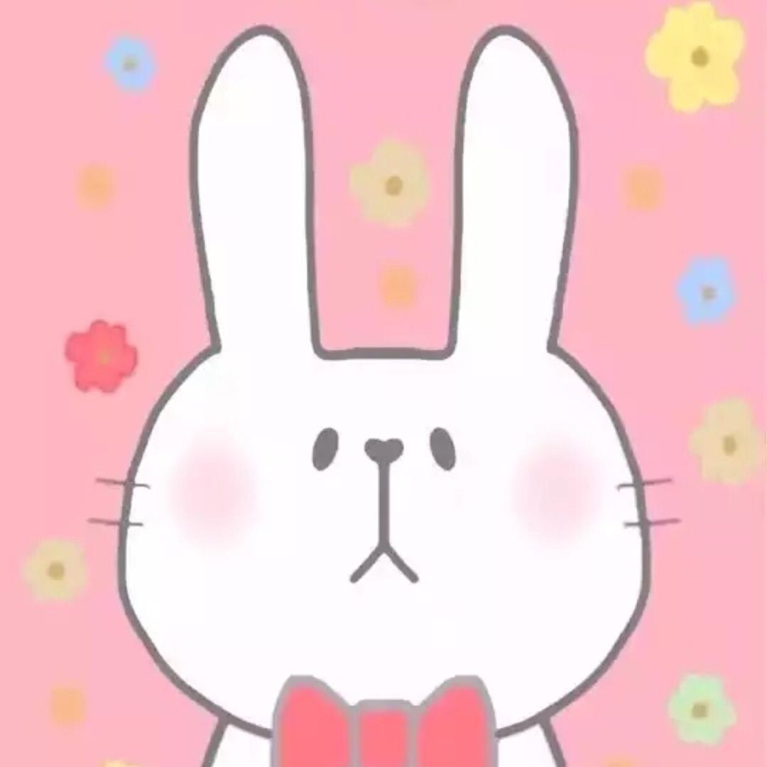 有小飛机の小兔纸📷