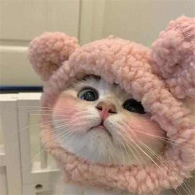 @小语