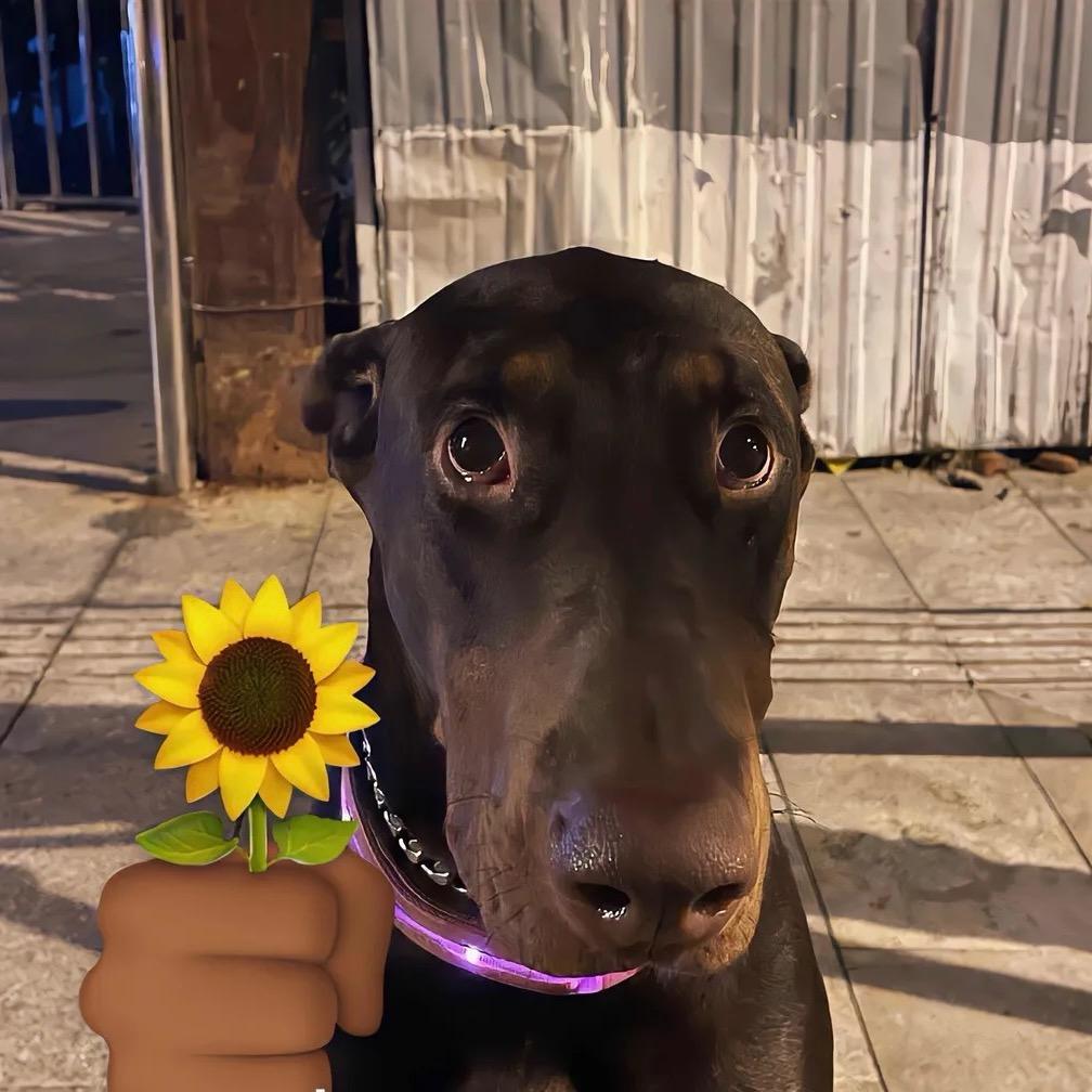 总被女人当狗玩