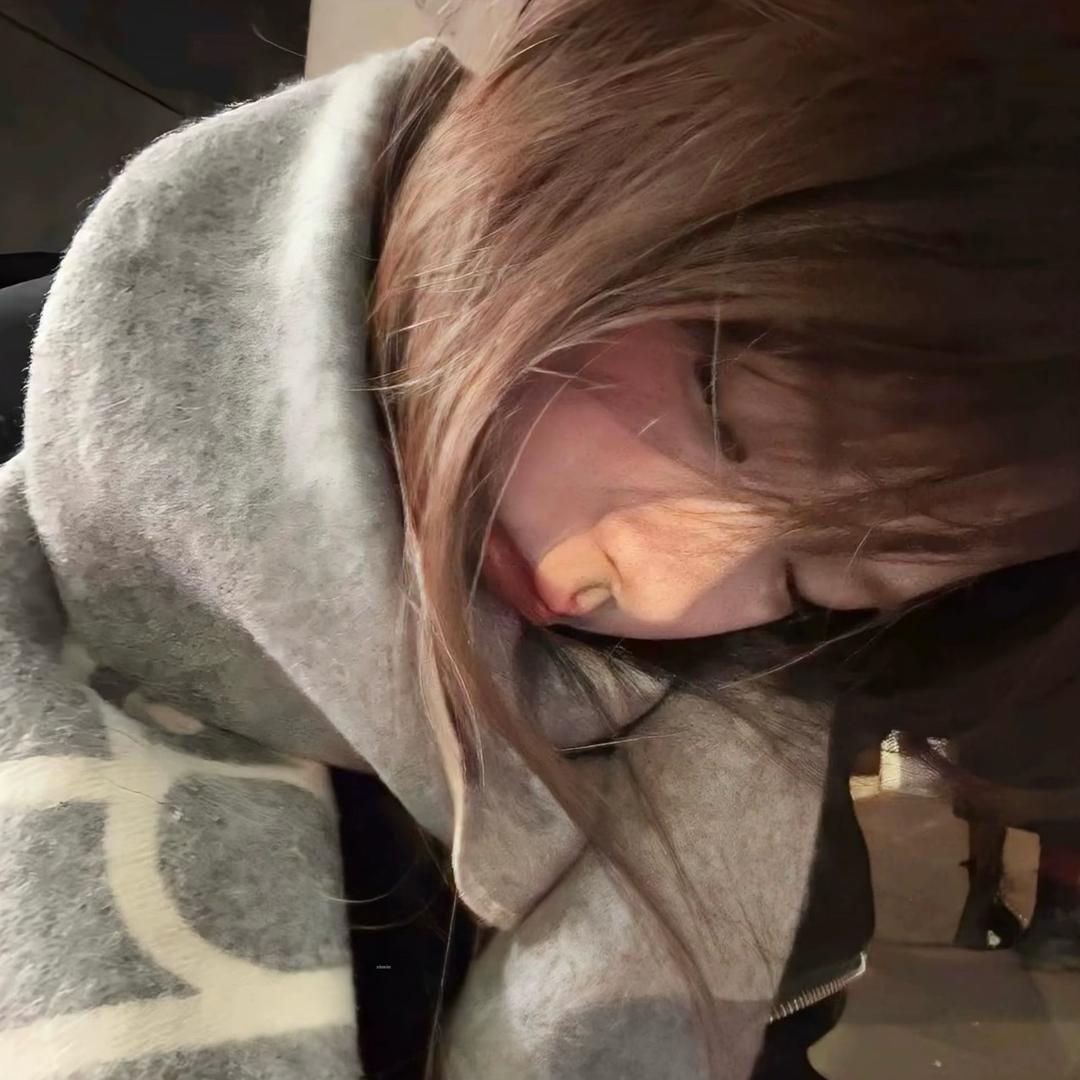 呆猪不极_
