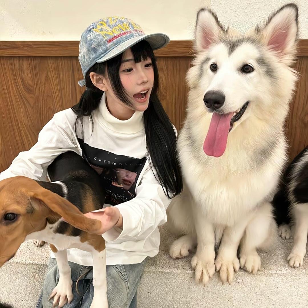 小亭y