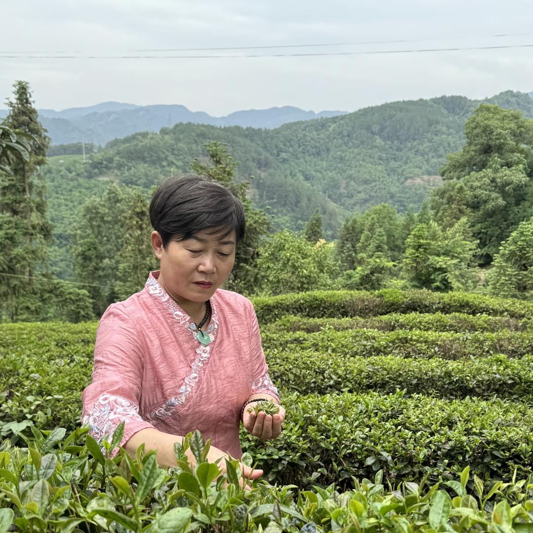 竹溪县李玉英茶叶店