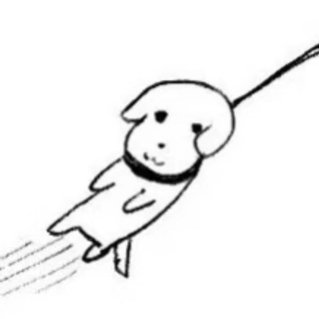 乌龟的黑头
