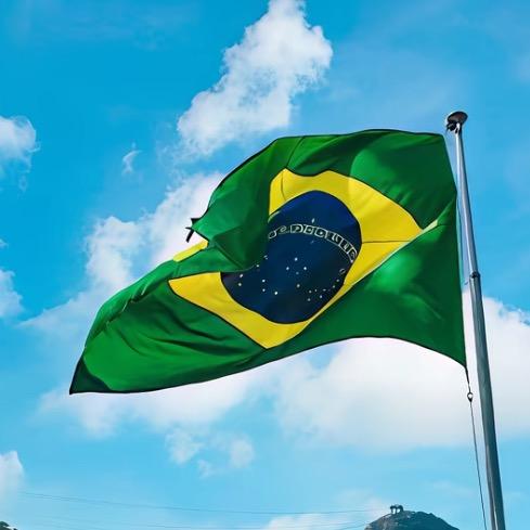 好少细胞地理。。