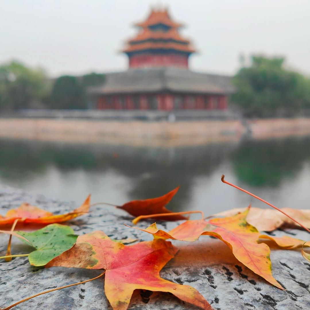 丁丁骑遇记