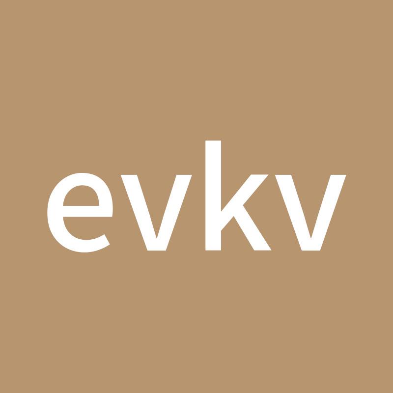 evkv华商男装专卖店直播间