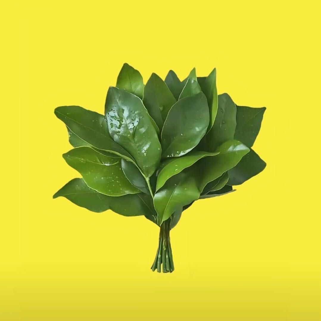 孟州市瑞康种植家庭农场～李伊轩