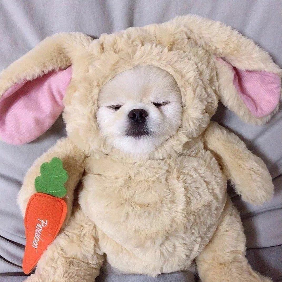 今天你睡醒了吗🎃