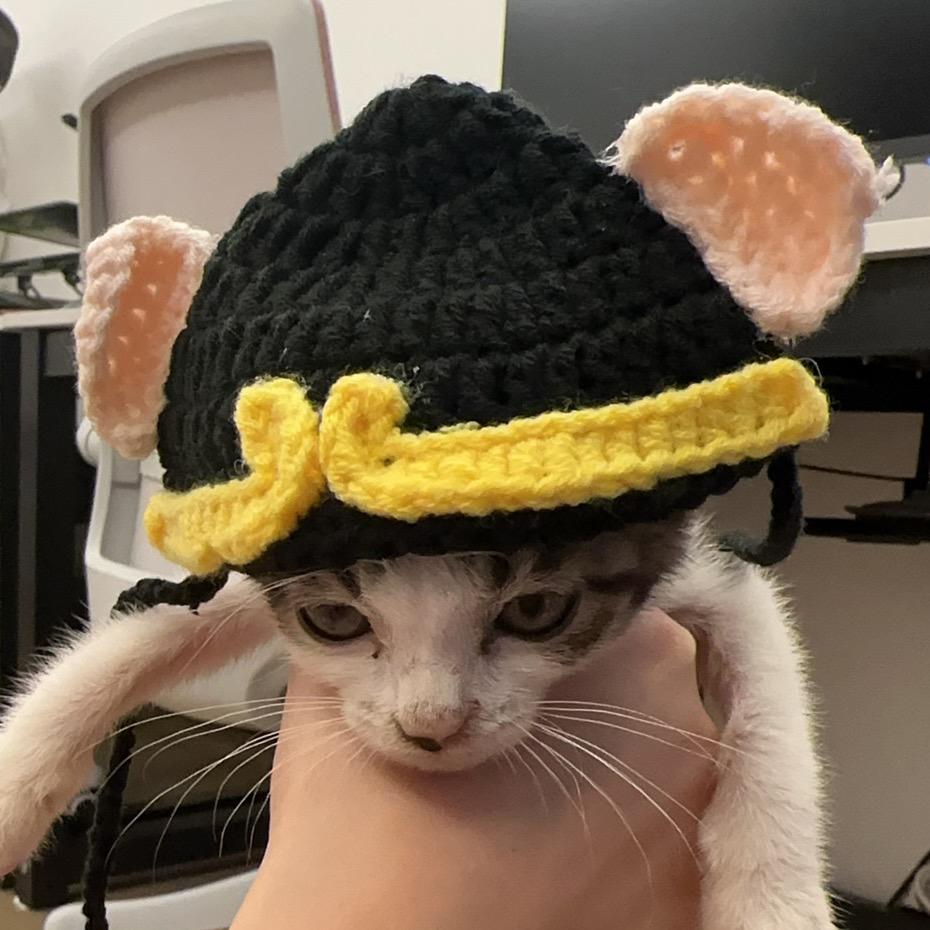 罐罐是个煤气罐