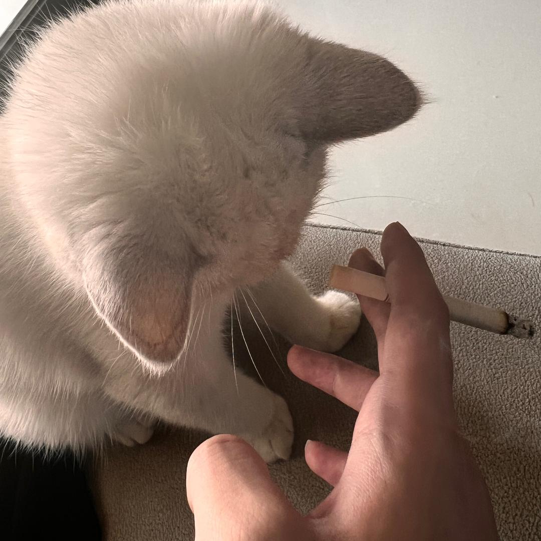 别说反话冷冰冰