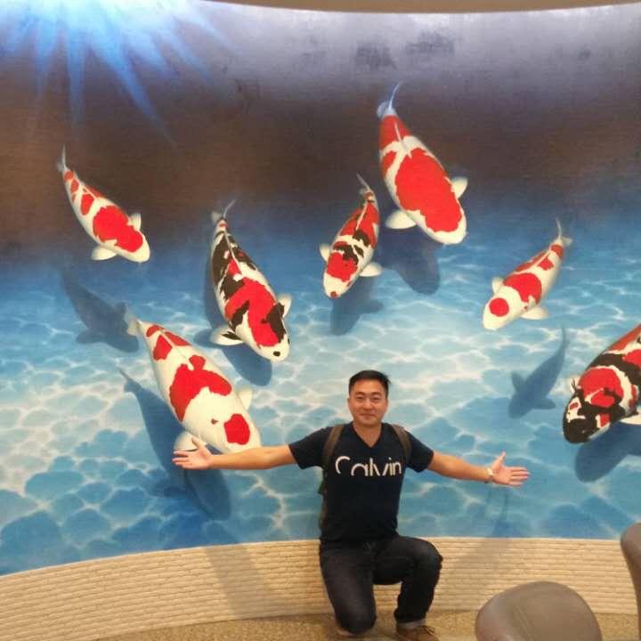 Ben哥（圣煌锦鲤）