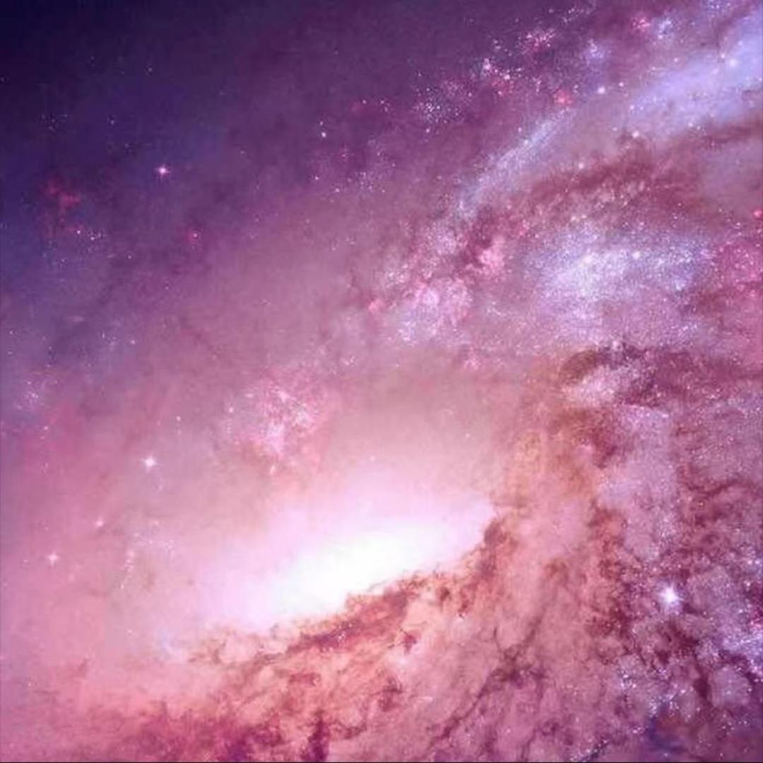 今朝鹤·九万里